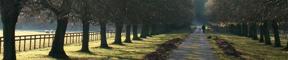 Infosec Archive – Weycrest